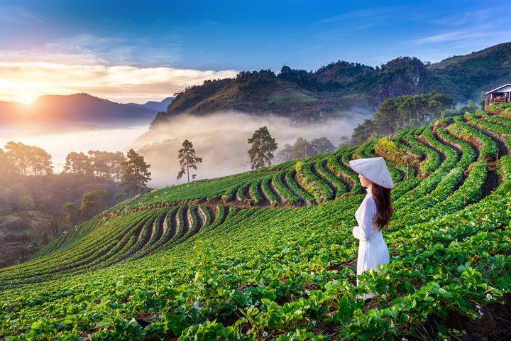 Kích thước to bất thường: Tôm nuôi theo phương pháp tự nhiên sẽ có kích thước không