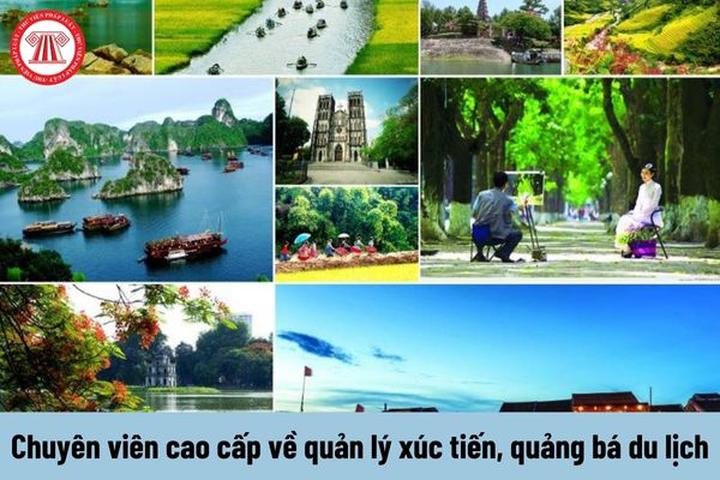 Xu hướng Thành viên gầy nhất BLACKP...: Hotspot Matrix tiết lộ bí quyết video viral