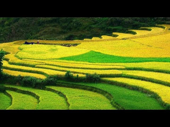 Hotspot Matrix: Nâng tầm hiệu suất và phạm vi tiếp cận nội dung video ngắn