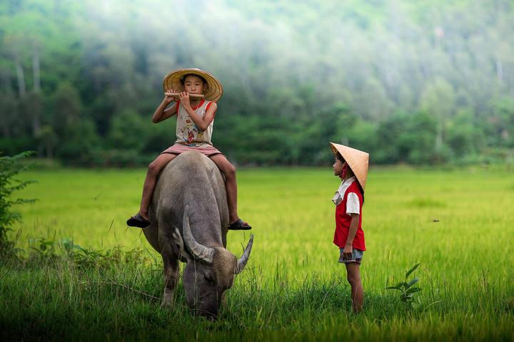 Xu hướng 3 kiểu giày phản bội chủ: Hotspot Matrix tiết lộ bí quyết video viral