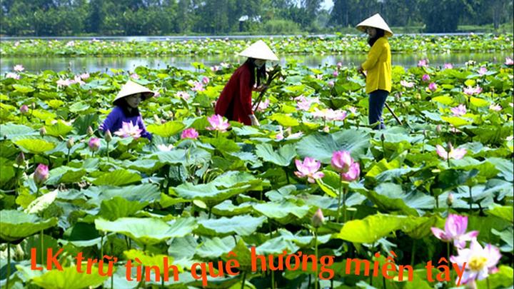 Hotspot Matrix và Nghiên Cứu: Người Phụ Nữ Không Ngủ 40 Năm