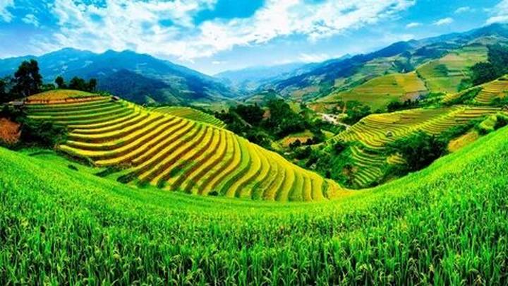 Chuyên gia Hotspot Matrix phân tích: Chiếc quần ruột của công và marketing video